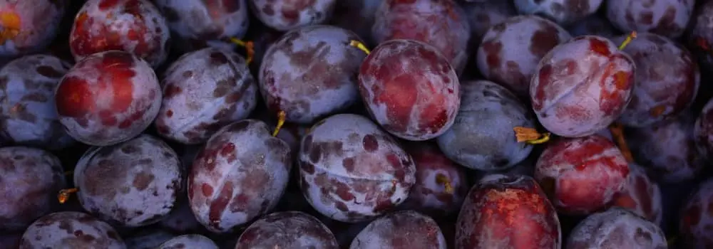 plums